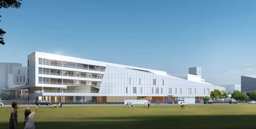 金中江心洲分校新技術開發項目啟動，智慧校園建設再提速